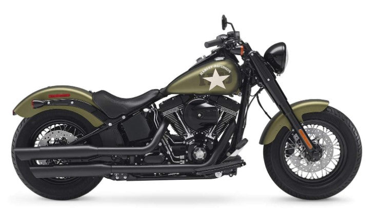 HARLEY DAVIDSON SOFTAIL SLIM 2012-2017 (with shortened pipes )